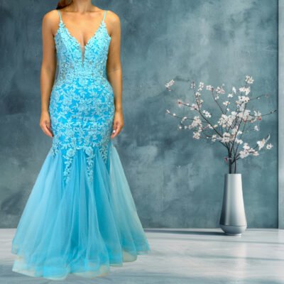 Embroidery Mermaid Zip Back Dress